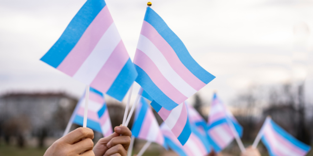 Image illustrant des drapeaux de la trans-identité