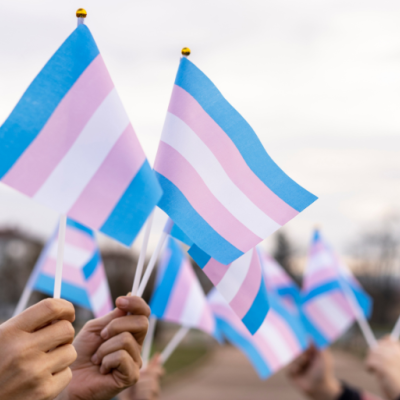 Image illustrant des drapeaux de la trans-identité